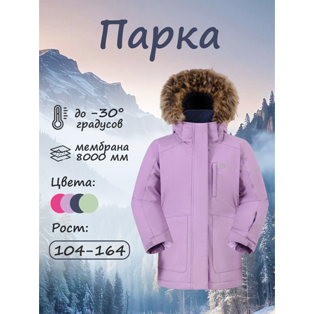 Парка GUSTI