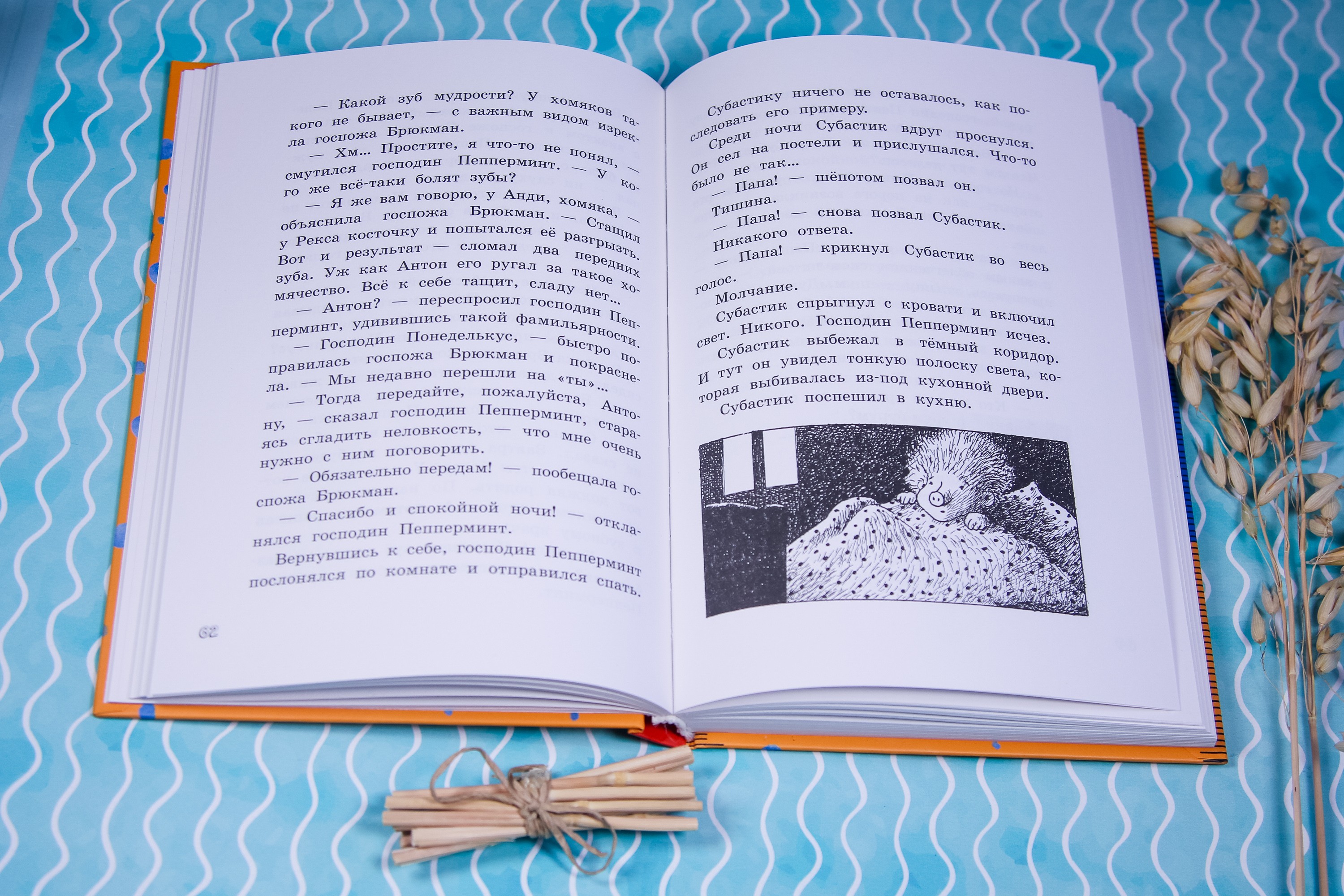 Книга Лабиринт Новые веснушки для Субастика - фото 4