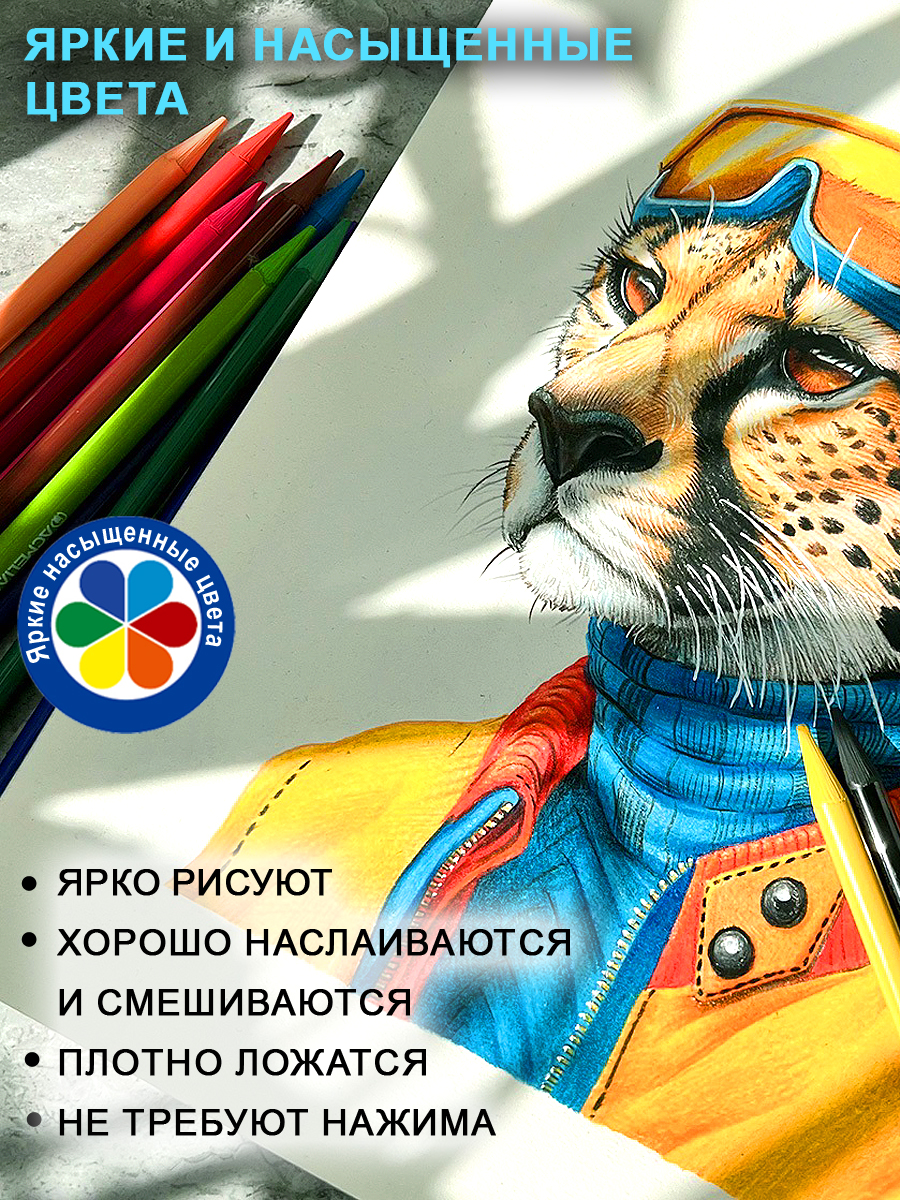 Карандаши ACMELIAE 12 шт. - фото 3