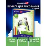 Художественная бумага Brauberg для графики 50 лист.