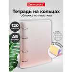 Тетрадь со сменным блоком Brauberg клетка 120 лист.