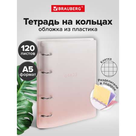 Тетрадь со сменным блоком Brauberg клетка 120 лист.