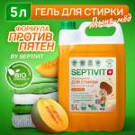 Гель для стирки SEPTIVIT Дыня мёд для всех видов тканей 5л