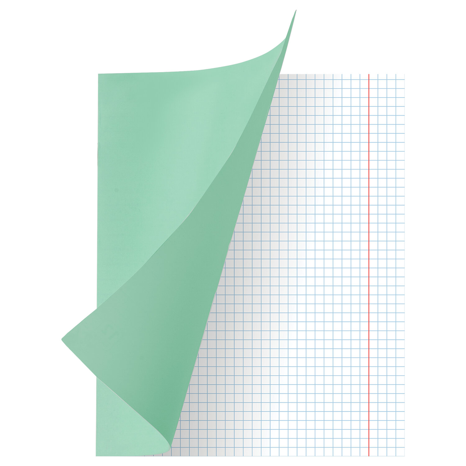 Тетрадь Brauberg клетка 18 лист. 20 шт. - фото 4