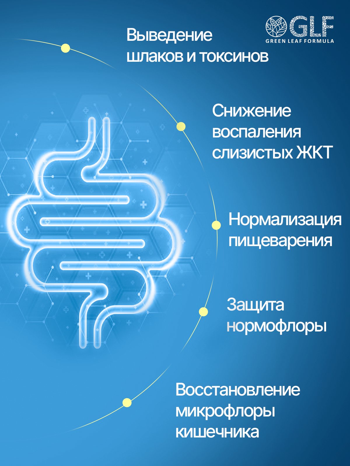 Детокс метабиотик Green Leaf Formula пробиотики при отравлении интоксикации для жкт сорбенты - фото 2