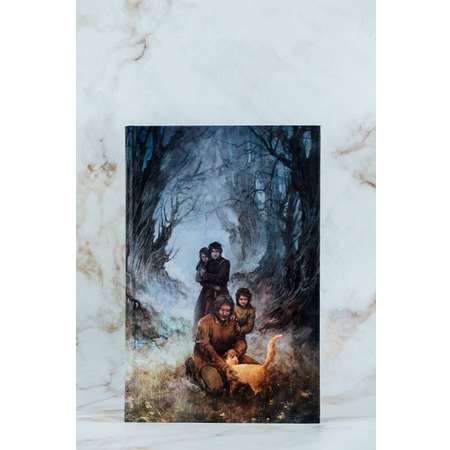 Книги АСТ Квендель. Книга 1. Сумрачный лес