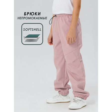Брюки Lemonwear