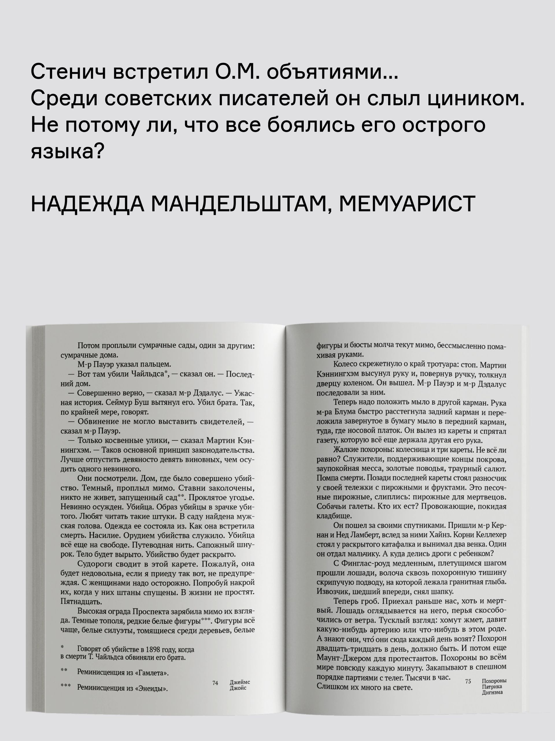 Книга Ad Marginem Похороны Патрика Дигнэма - фото 7