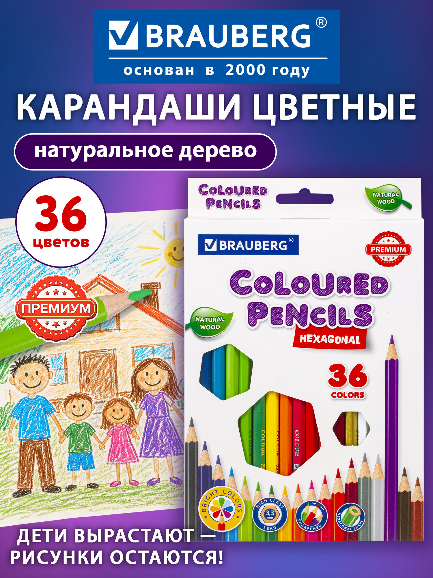 Карандаши цветные Brauberg 36 шт. - фото 1
