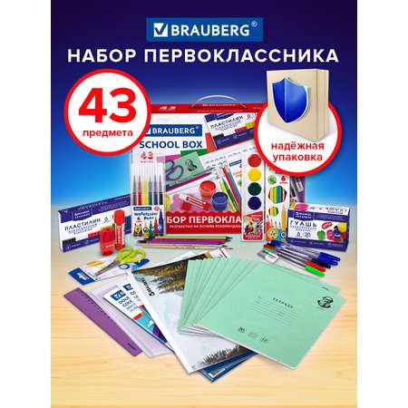 Набор школьника Brauberg 43 предм.