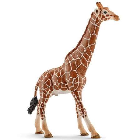 Фигурка SCHLEICH Жираф, самец