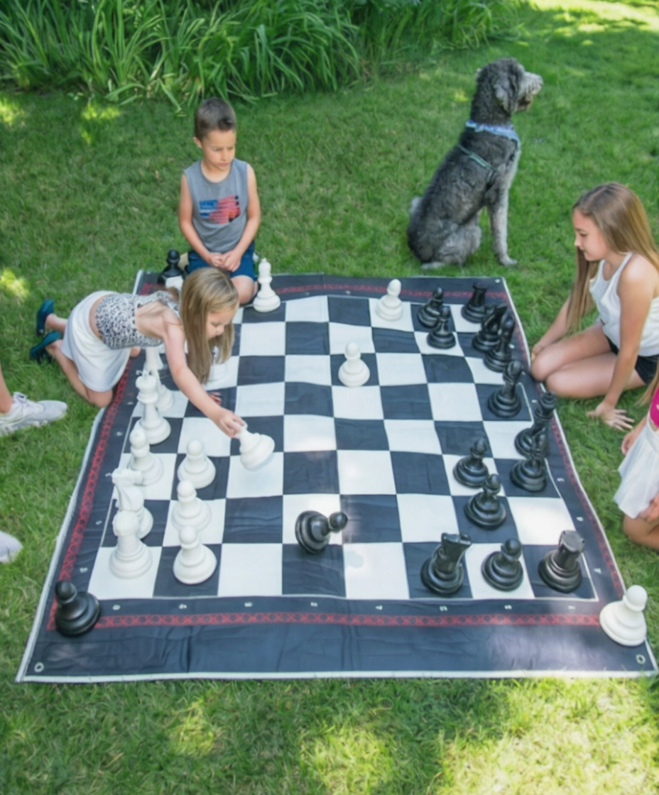 Изображение товара Настольная игра Hape 3в1 шахматы шашки нарды для детей и взрослых