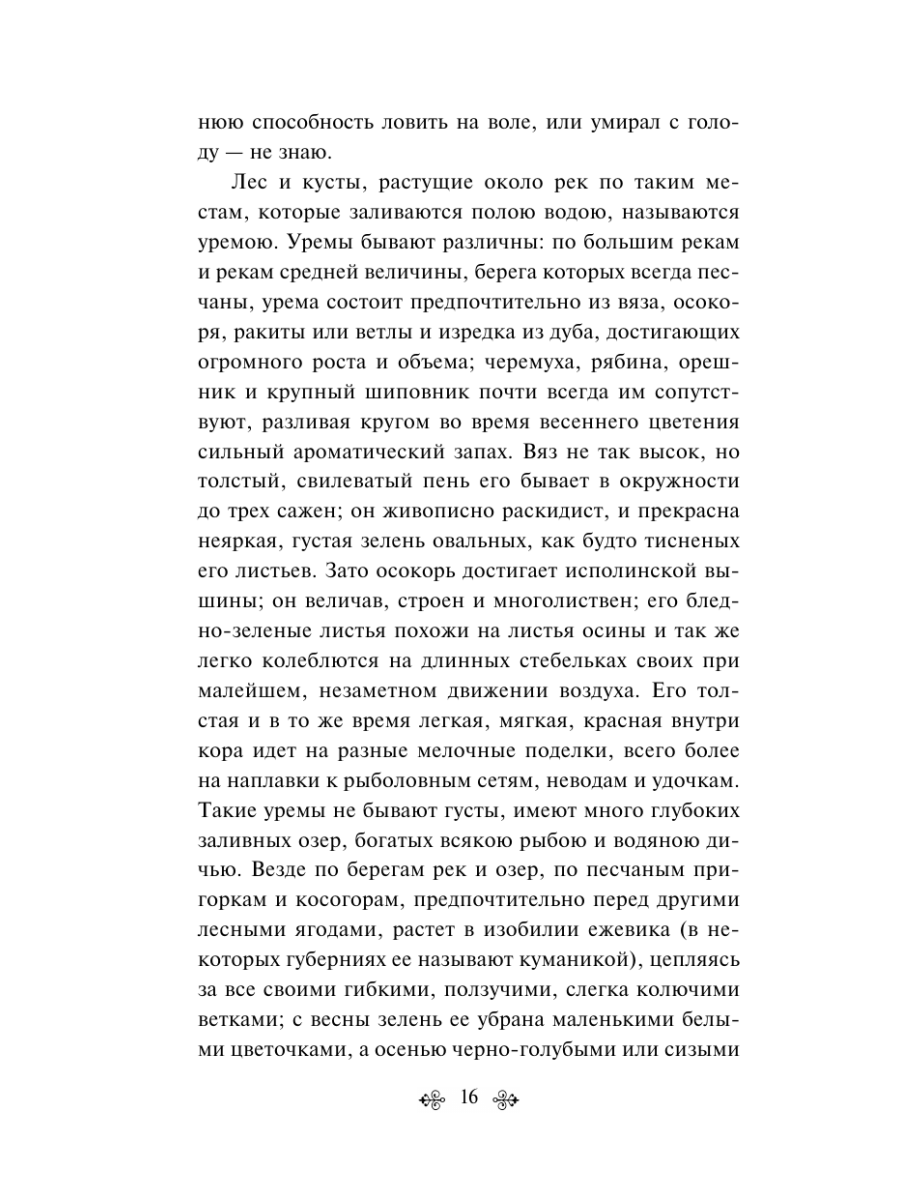 Книга Эксмо Русский лес Рассказы русских писателей - фото 20