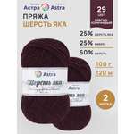 Пряжа для вязания Astra Premium красно-коричневый 100г 120м 2шт