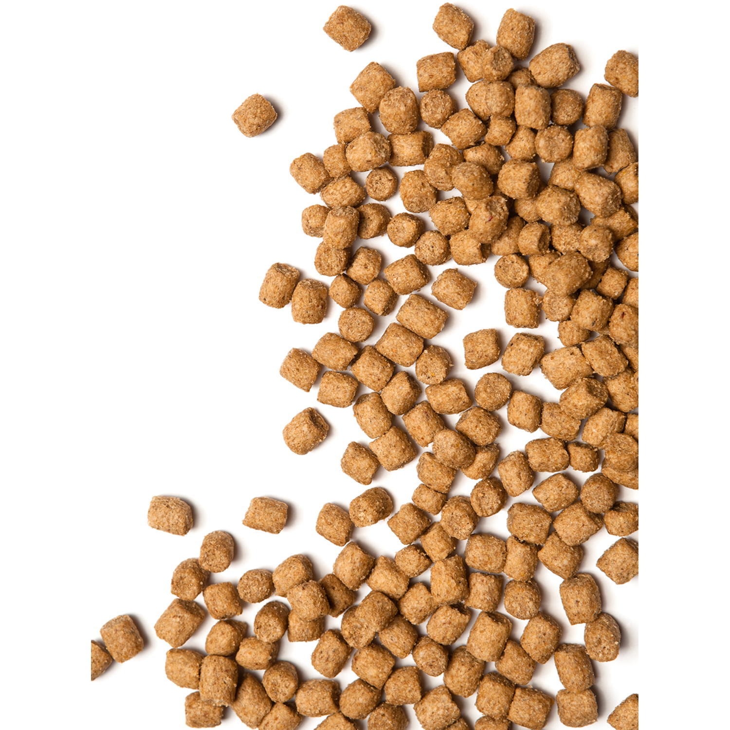 Корм для кошек Probalance 1.8кг Adult Immuno курица-индейка сухой - фото 5