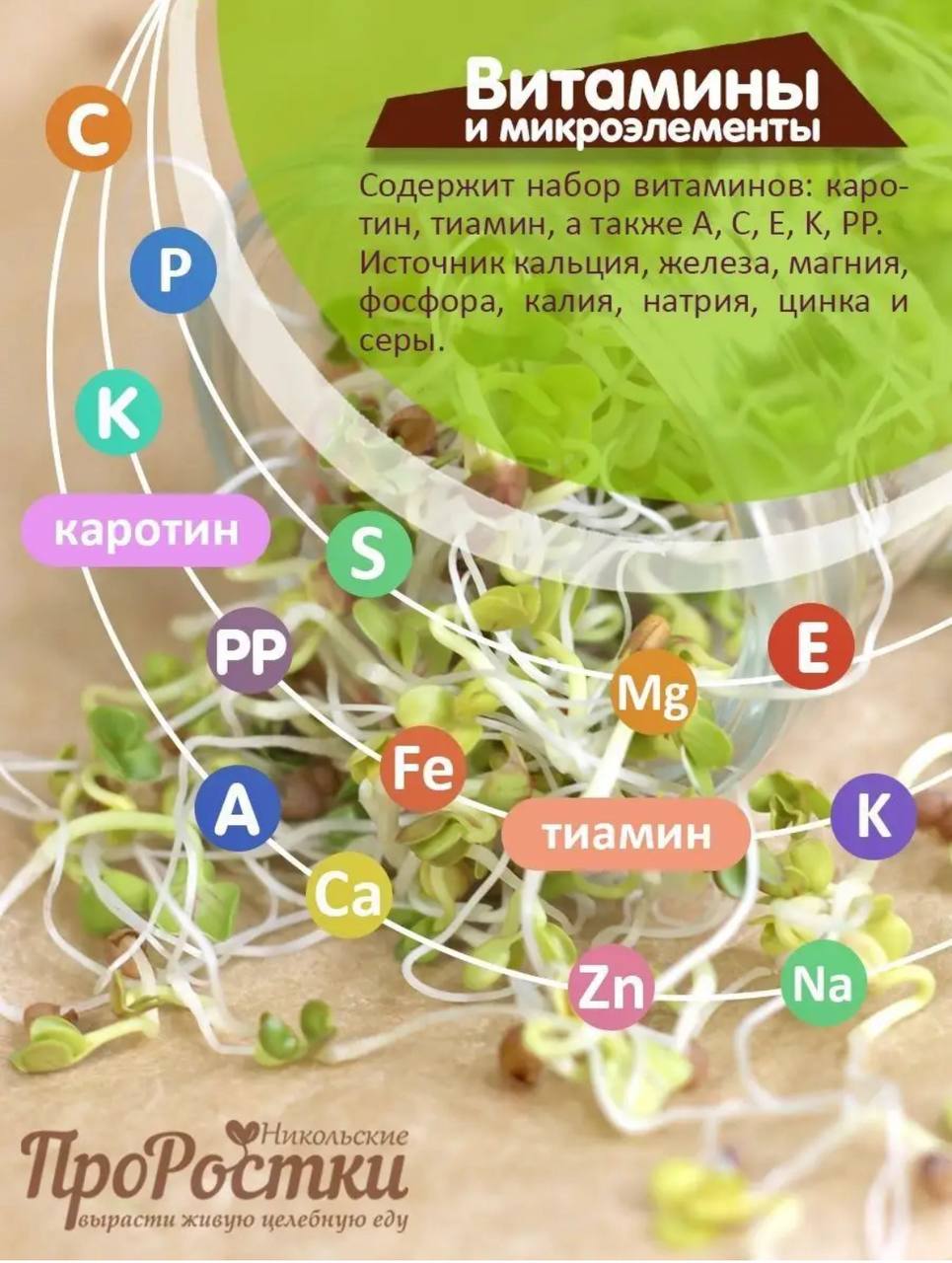 Семена для микрозелени MegaMedia редис - фото 2
