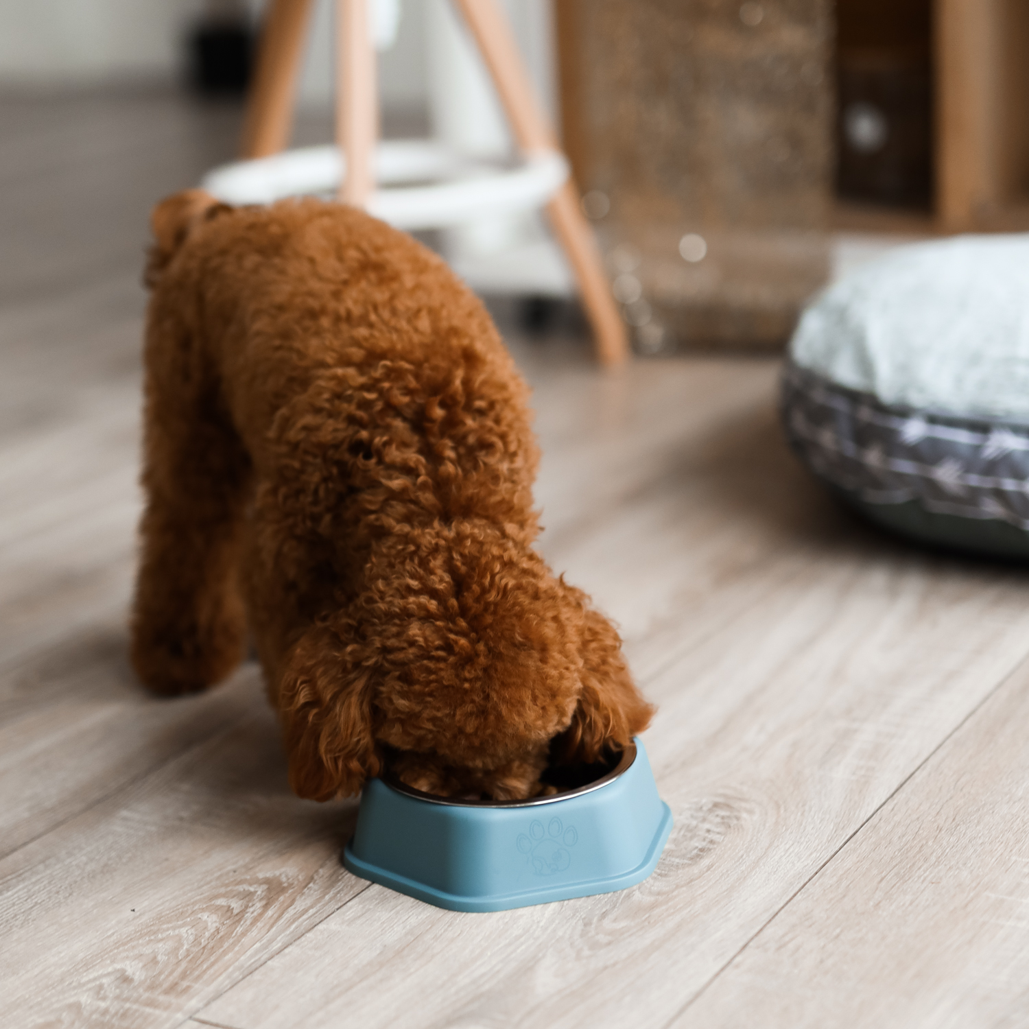 Миска для животных Не Один Дома Лапка 19.5*19.5*6см Голубой - фото 7