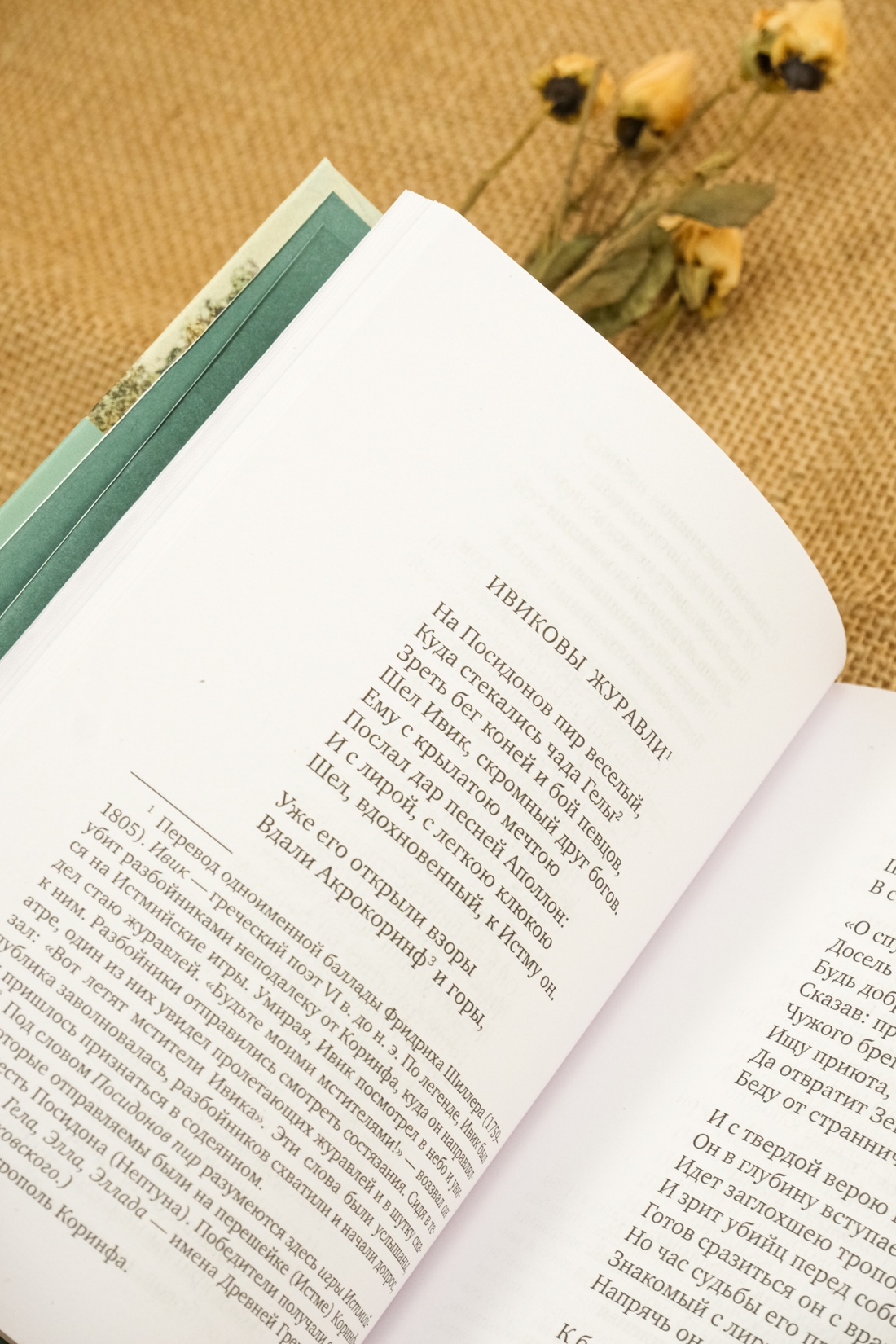 Книга АЗБУКА Азбука-поэзия/Пушкин А., Лермонтов М., Тютчев Ф./Золотой век русской поэзии - фото 6