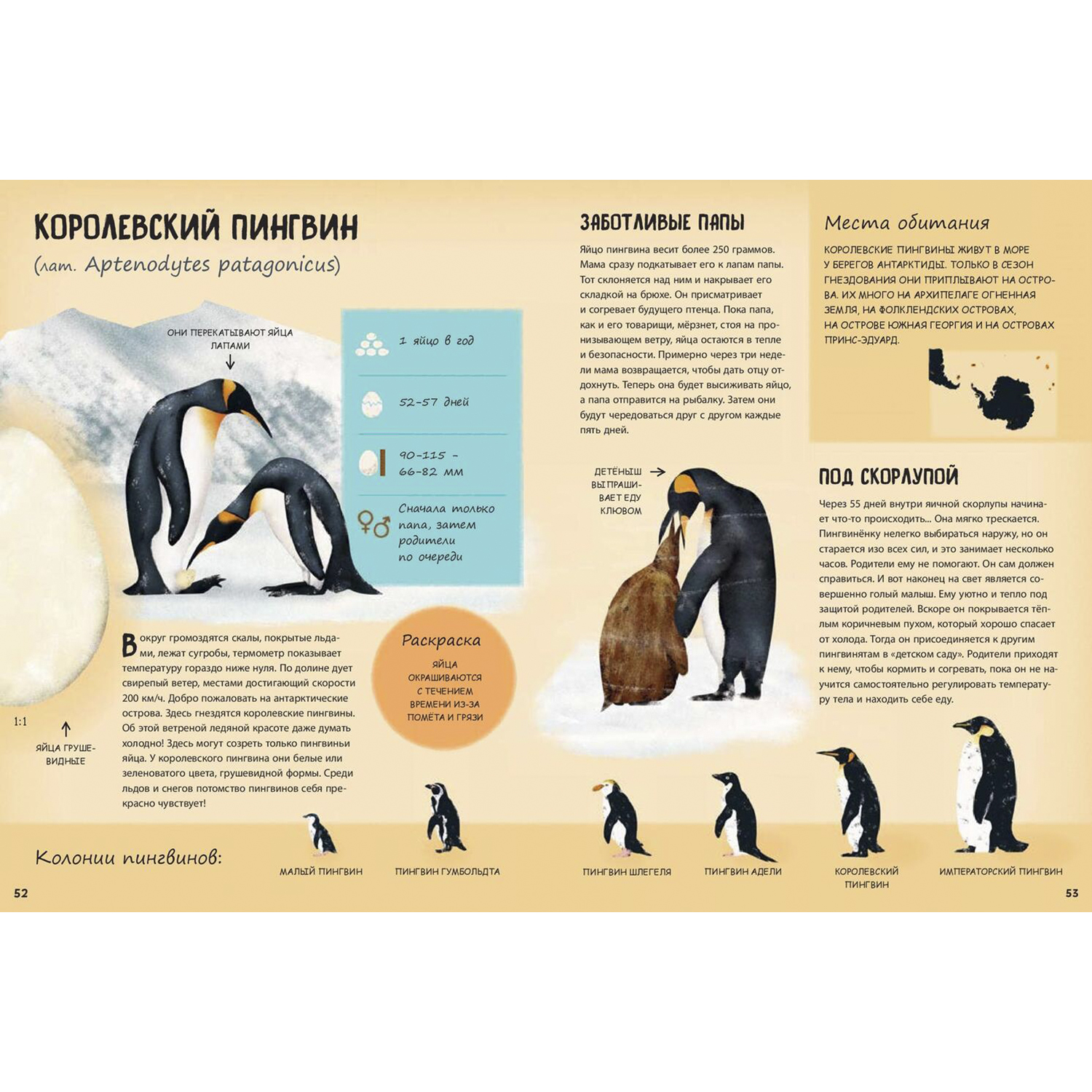 Книга ЭНАС-книга Кто появляется на свет из яйца? - фото 7