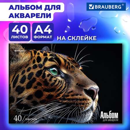 Альбом Brauberg А4 40 лист.