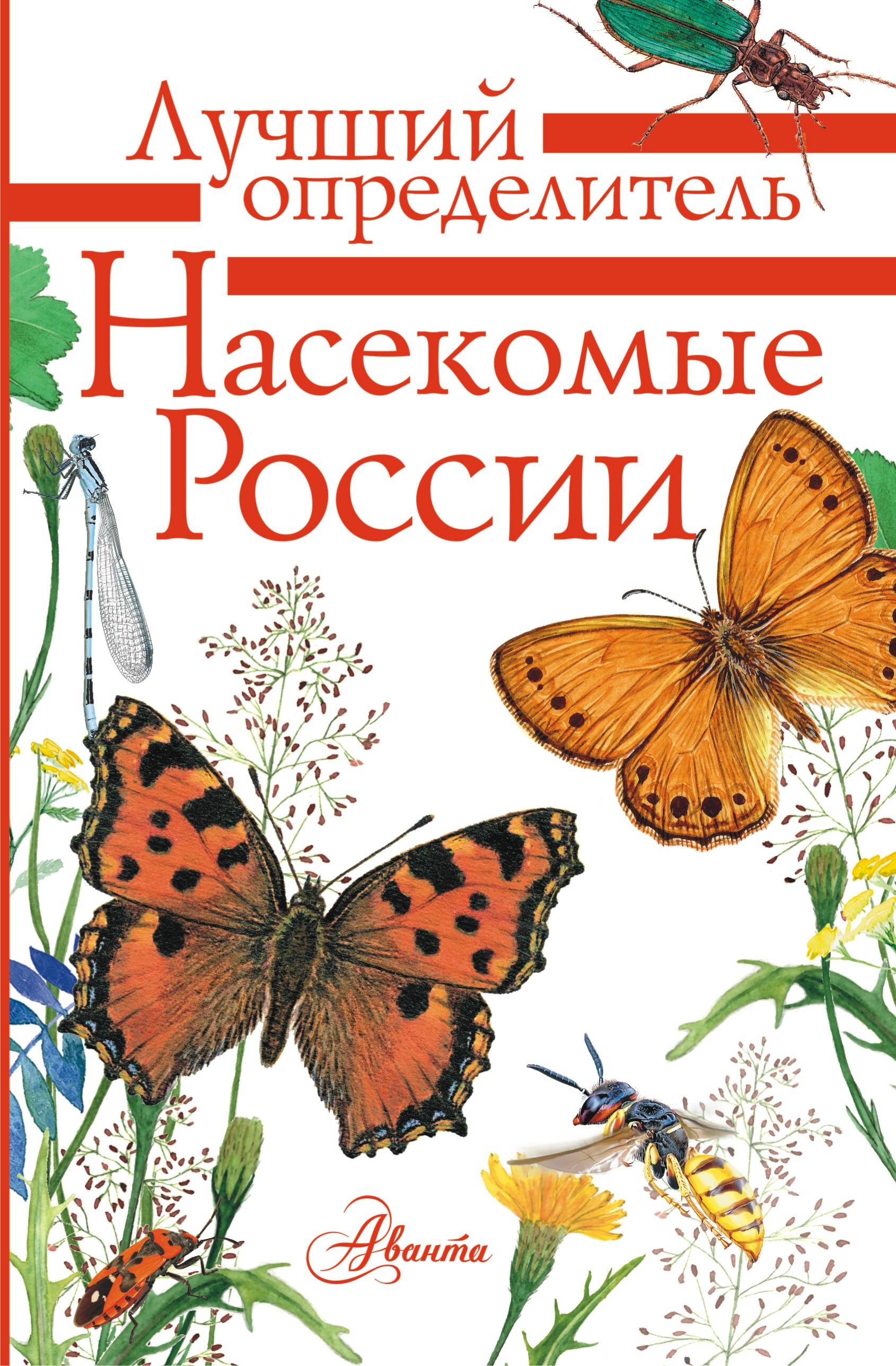 Книга АСТ насекомые России - фото 2