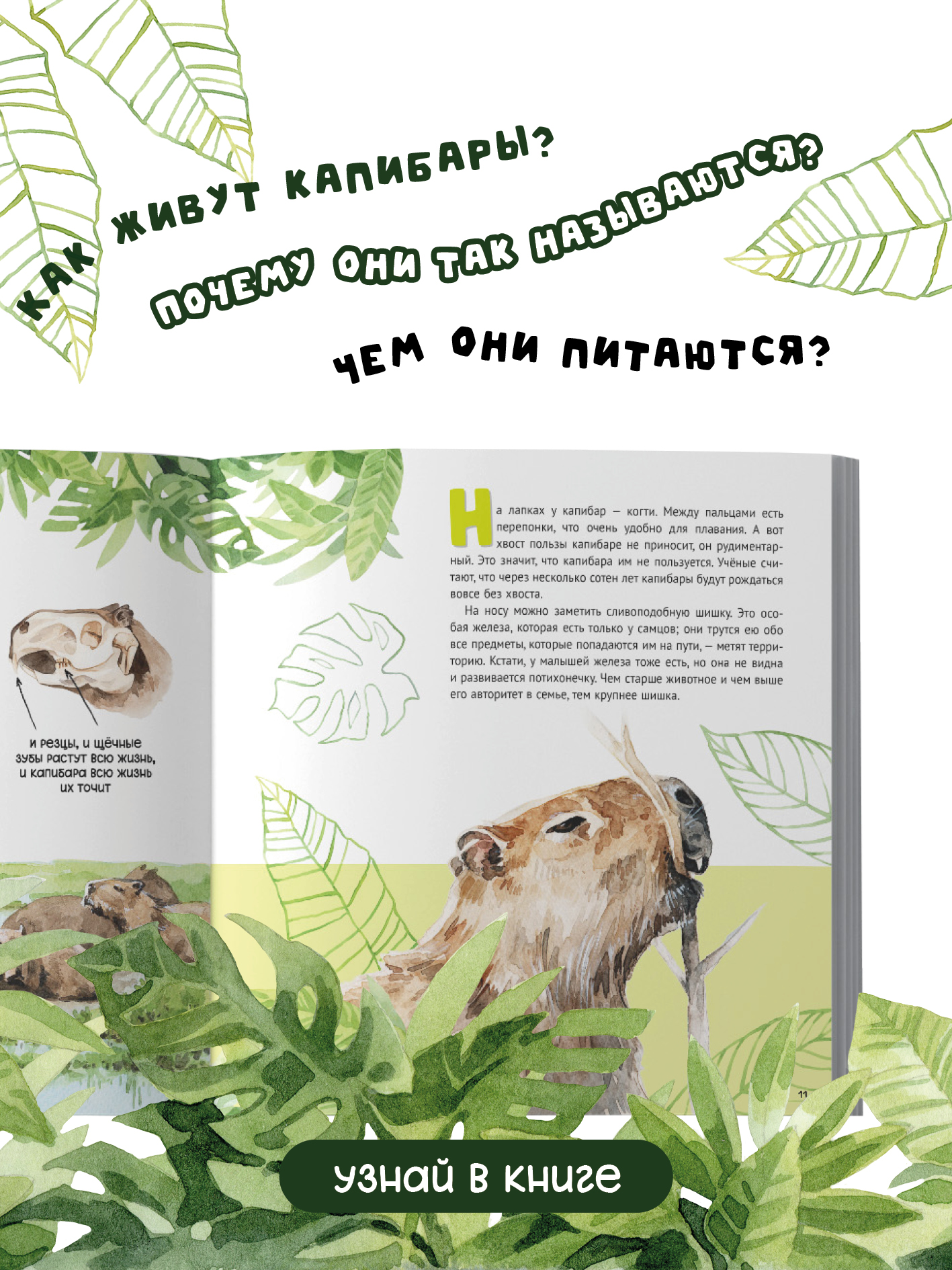 Книга Бумба Миролюбивая капибара - фото 4