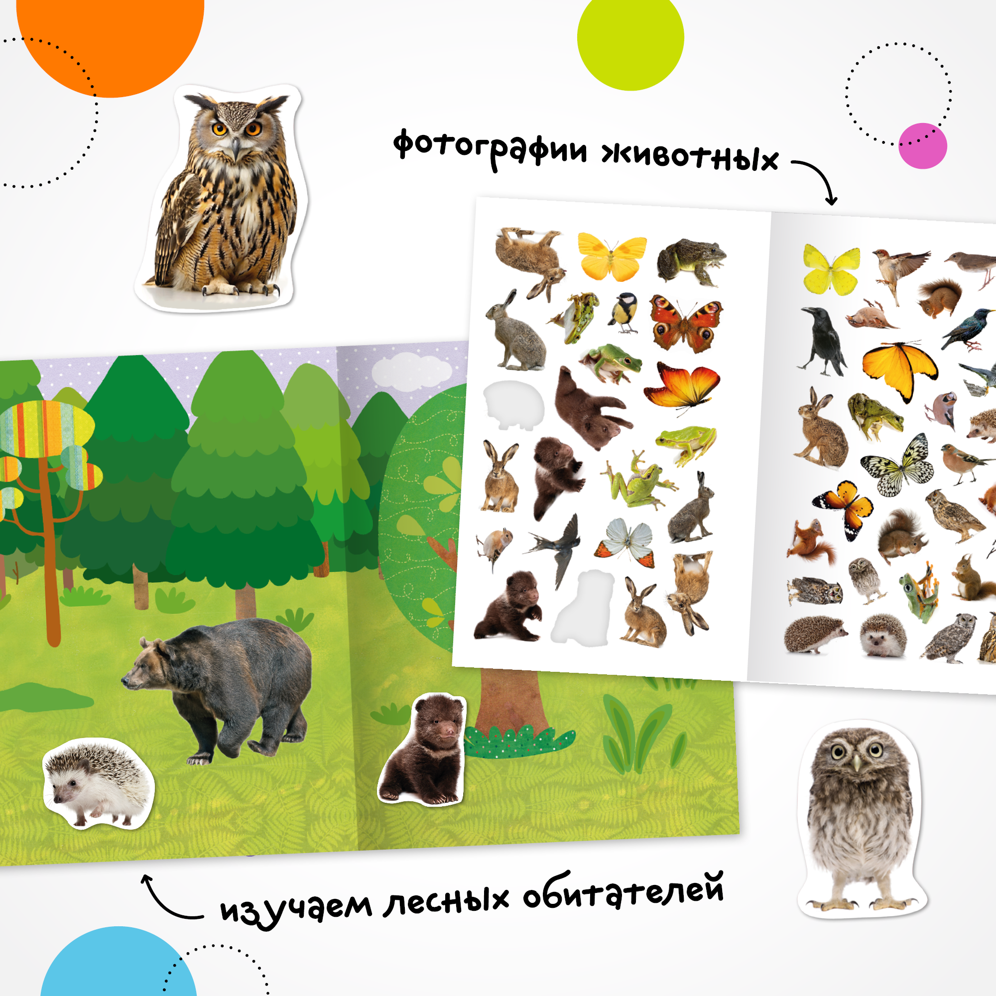 Книга МОЗАИКА kids Фотонаклейки В лесу - фото 2