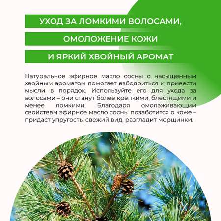 Масло Siberina