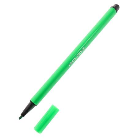 Фломастеры Prof-Press 12 цв.
