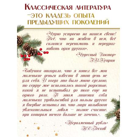Книга Проф-Пресс Истории Волшебного Рождества. 256 стр.