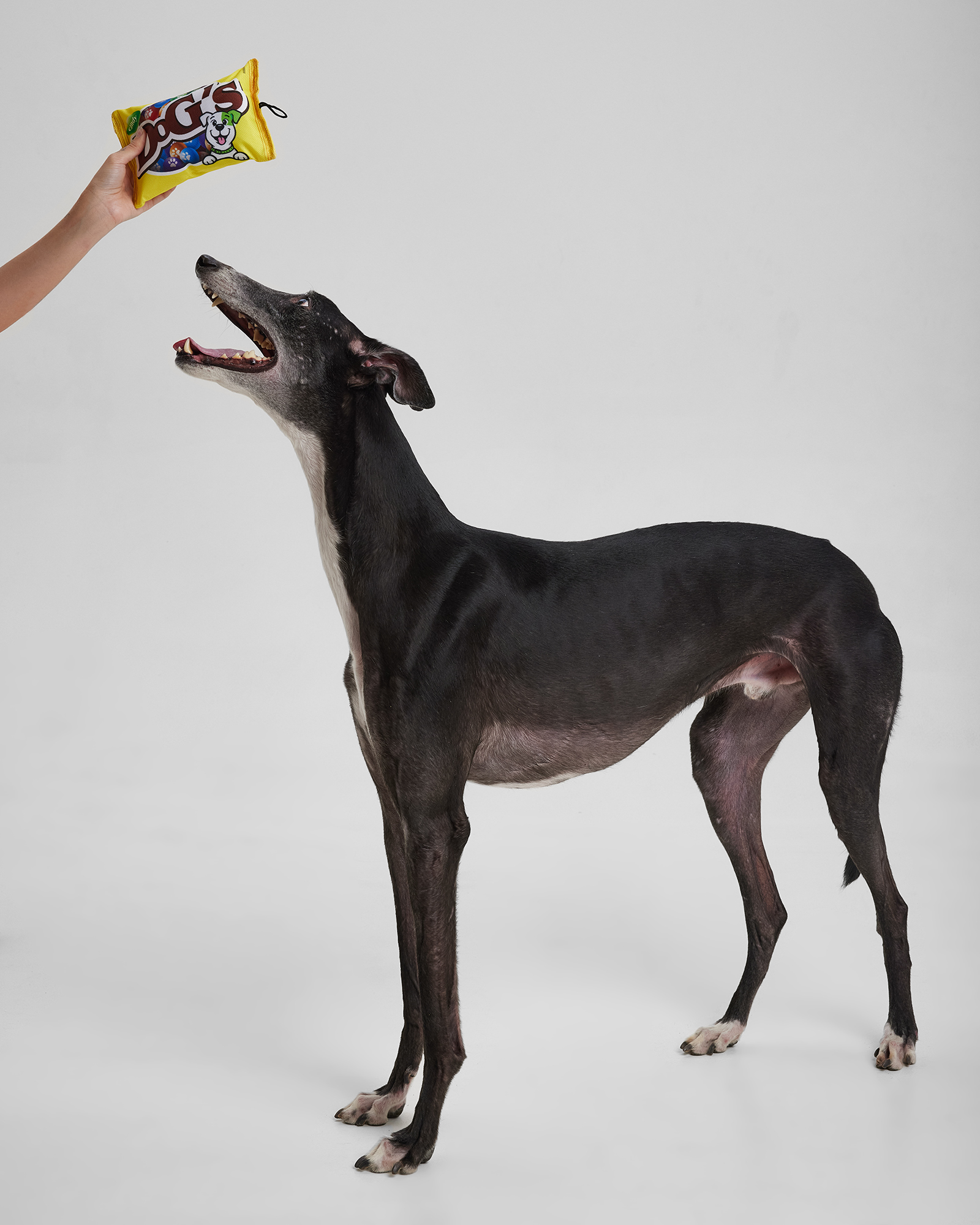 Игрушка для собак Barbaks Пачка вкусняшек шуршит 21.5*13см - фото 4