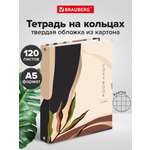 Тетрадь со сменным блоком Brauberg клетка 120 лист.