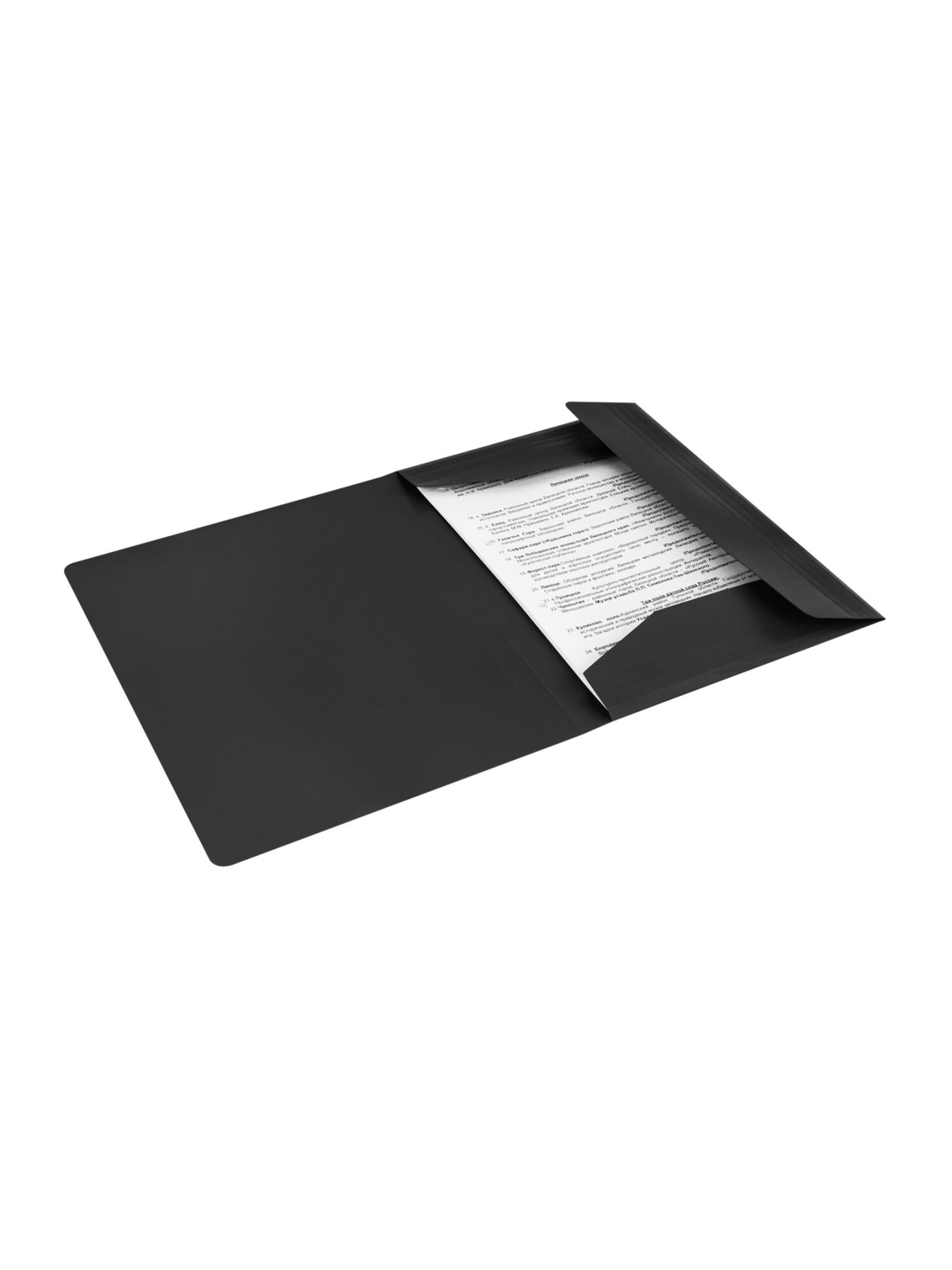 Папка для тетрадей Brauberg на резинках А4 - фото 12