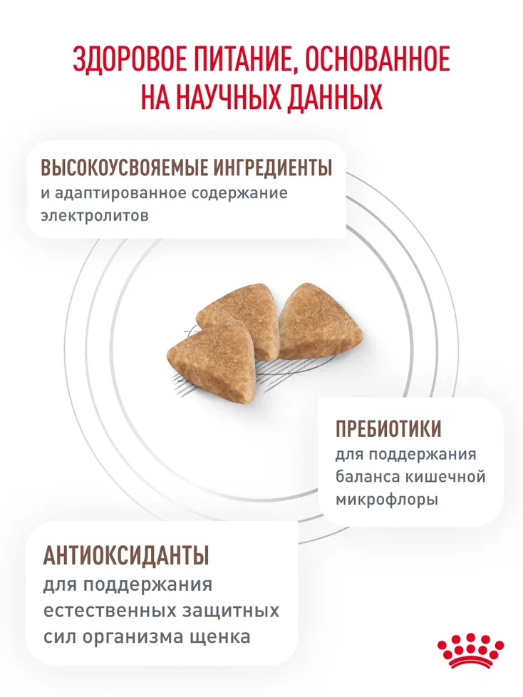 Корм для щенков ROYAL CANIN Gastro Intestinal Junior GIJ29 при нарушениях пищеварения 1кг - фото 4