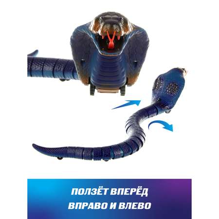 Змея РУ Veld Co Кобра