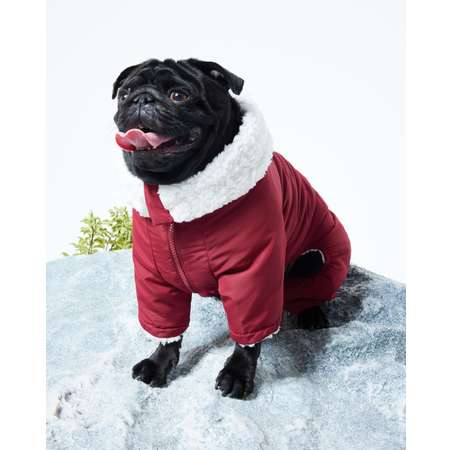 Комбинезон для собак и кошек Зоозавр