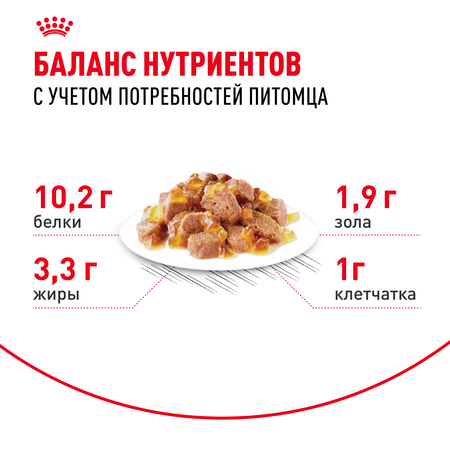 Корм для кошек ROYAL CANIN Indoor 85г для пожилых стерилизованных кошек 7+ желе пауч