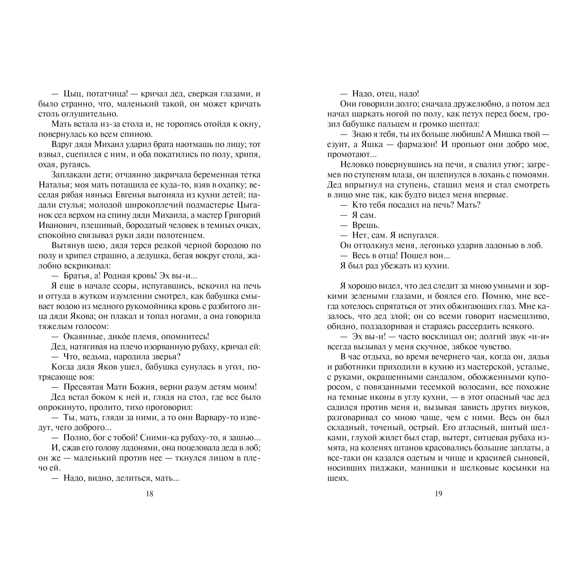 Книга АЗБУКА Песня о Соколе - фото 6