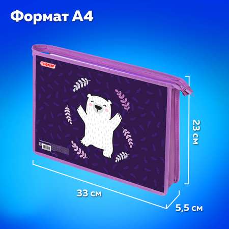 Папка для тетрадей Пифагор А4