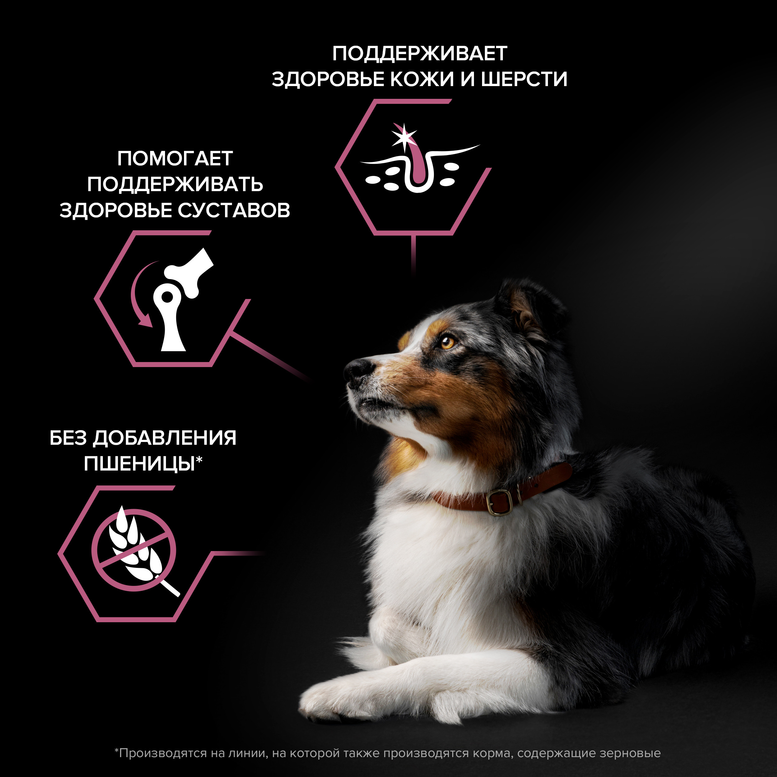 Корм для собак PRO PLAN средних пород с чувствительной кожей с комплексом Optiderma лосось с рисом 3кг - фото 3