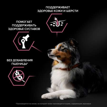 Корм для собак PRO PLAN средних пород с чувствительной кожей с комплексом Optiderma лосось с рисом 3кг