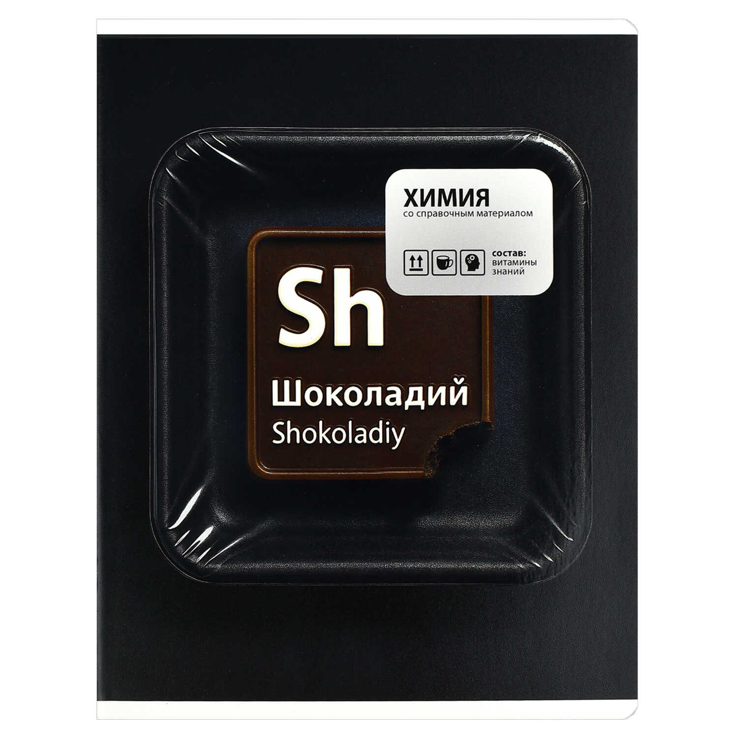 Тетрадь Феникс + 48 лист. 15 шт. (Литература, Русский язык, Обществознание) - фото 6