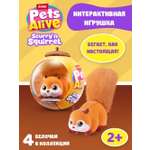 Фигурка Zuru Pets Alive Белка в ассортименте