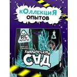 Набор для опытов Re-агенты
