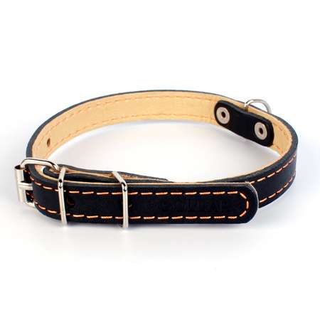 Ошейник для собак CoLLar средних пород двойной Черный 00121