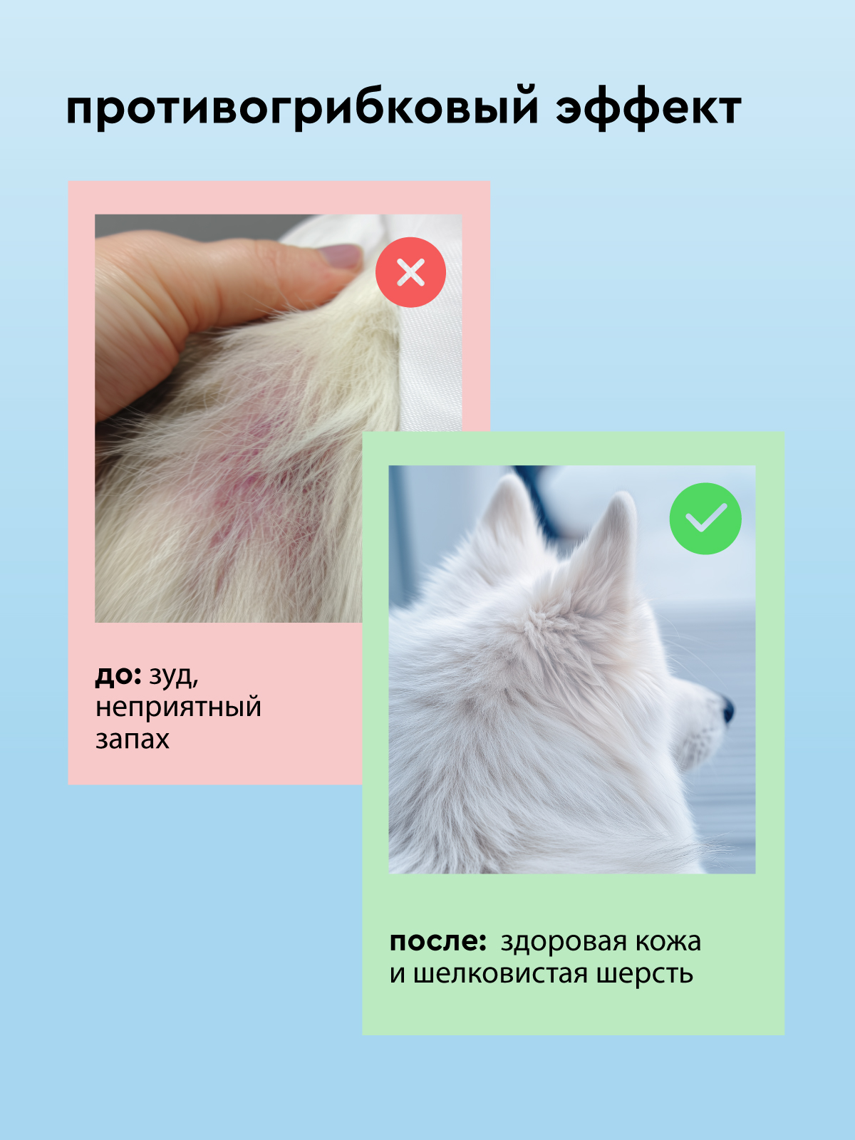 Шампунь для собак и кошек Pamilee с хлоргексидином антибактериальный против зуда и запаха - фото 3