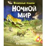 Книга Лабиринт Волшебный фонарик Ночной мир
