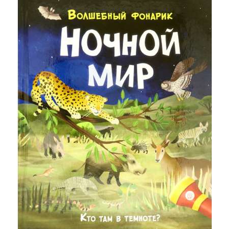 Книга Лабиринт Волшебный фонарик Ночной мир