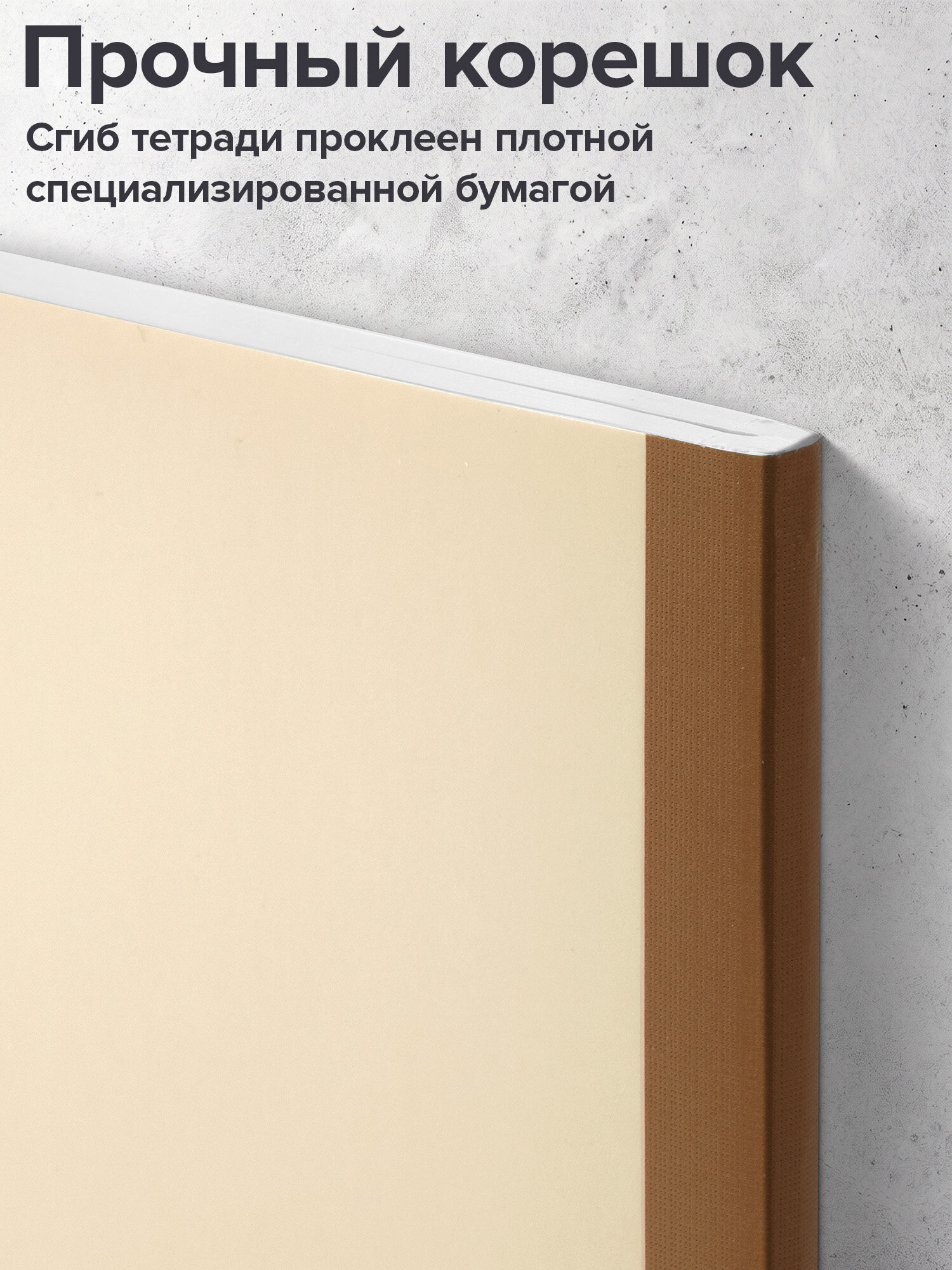 Тетрадь Brauberg клетка 96 лист. 2 шт. - фото 4