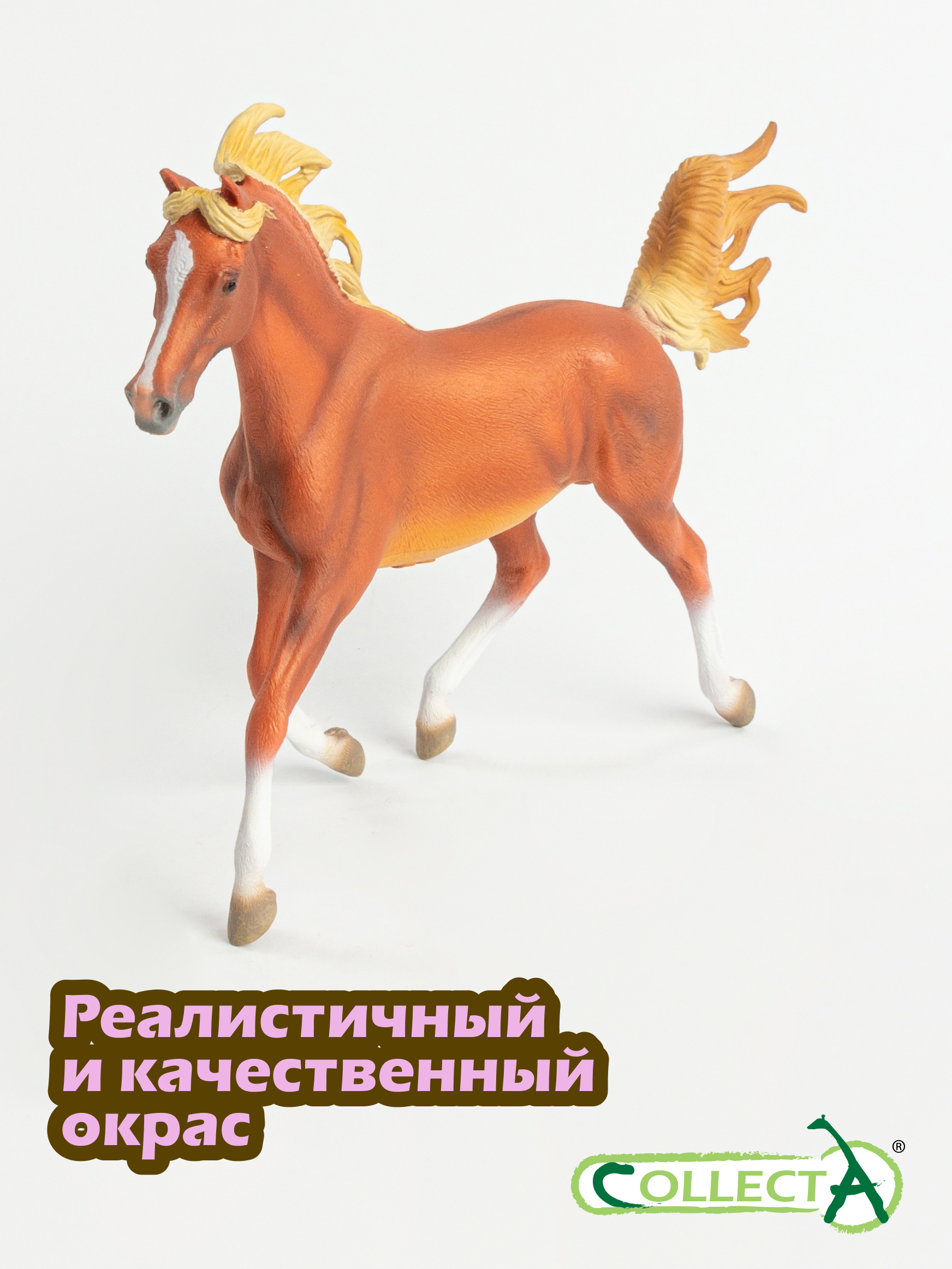 Фигурка Collecta Жеребец Арабский - фото 5